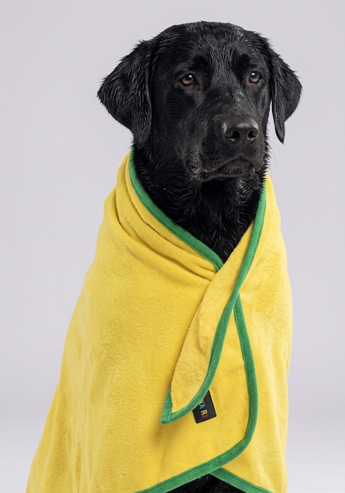 Skatrs Towel for Dogs and Cats (Yellow and Green) image 5