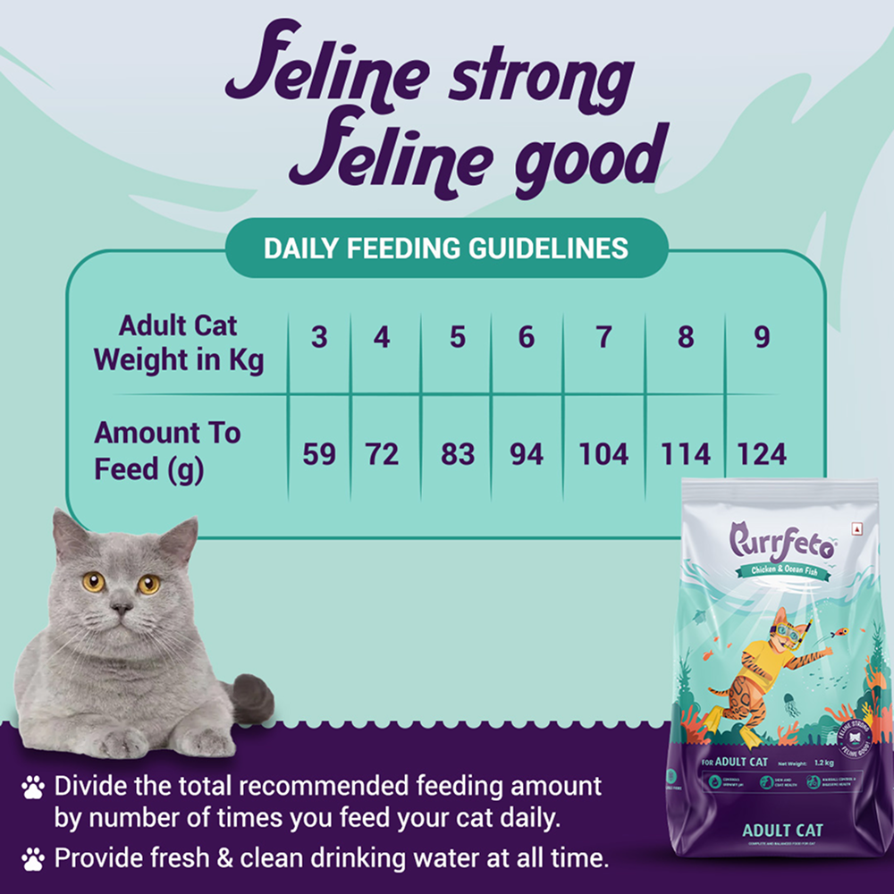 Purrfeto Chicken and Ocean Fish Cat Dry Food image 7